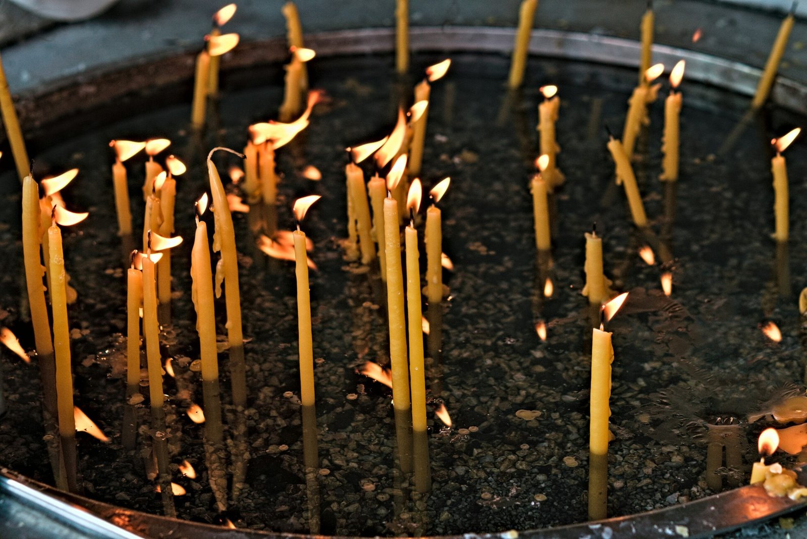 Photo of a balanced meal prep spread alongside acupuncture needles
