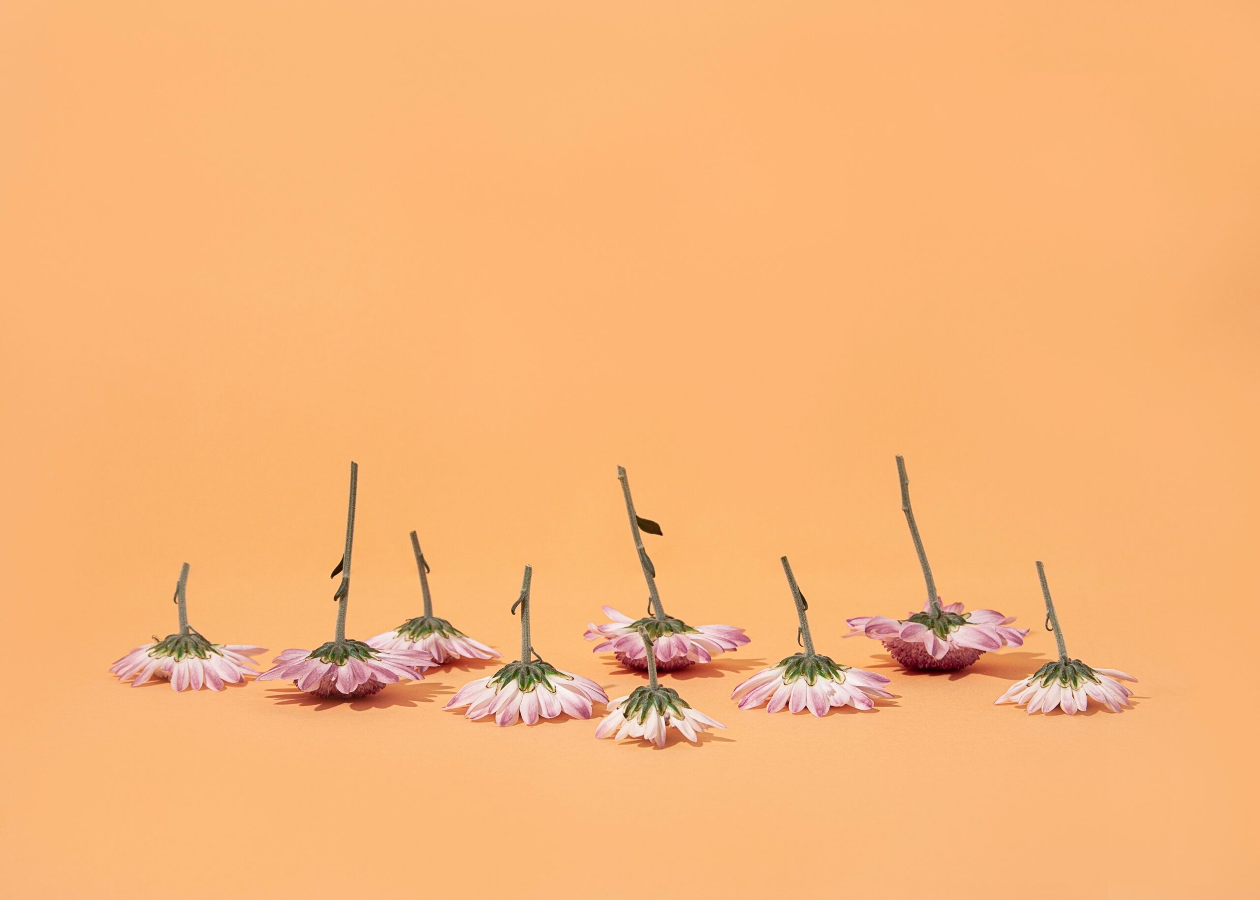 Illustration showing acupuncture needles placed on different points of the body