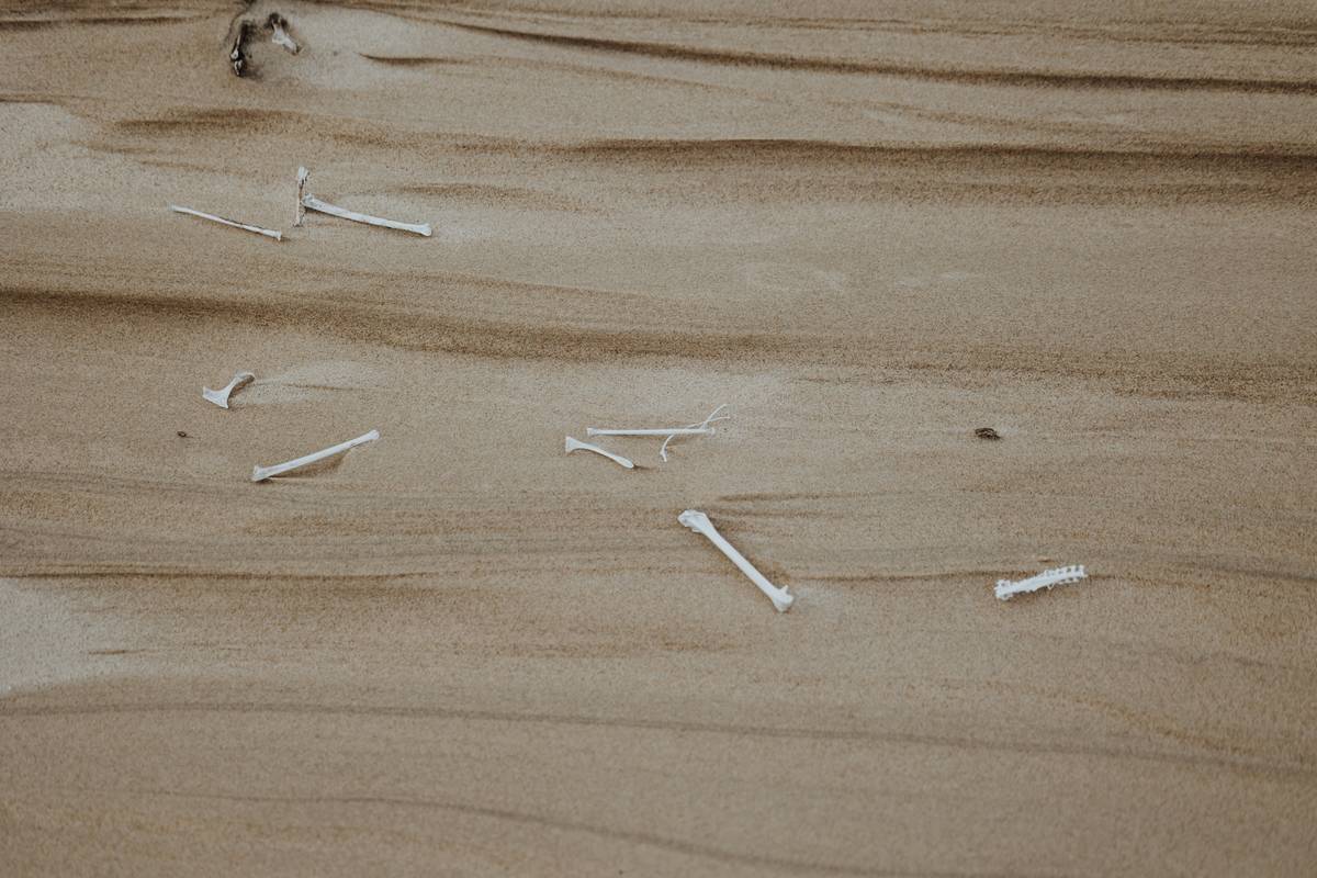 Diagram showing how leptin works in the body